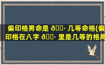 偏印格男命是 🌷 几等命格(偏印格在八字 🌷 里是几等的格局)